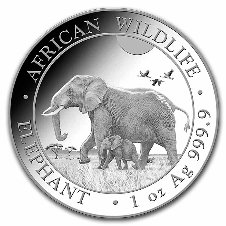 2023 Somalia 1/2 onza Elefante Africano oro .9999 – Numismática